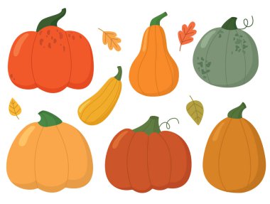 Bir çift el çizimi şirin balkabakları. Farklı renklerin ve sonbahar sebzelerinin tasviri