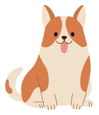 Corgi köpek oturuşunun renkli bir çizimi. Beyaz arka planda izole edilmiş sevimli bir hayvan.
