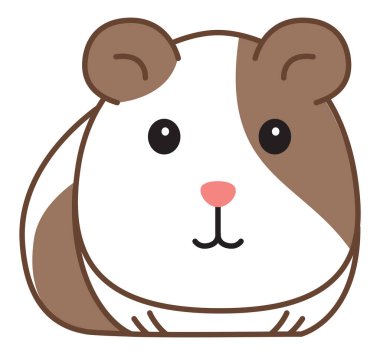 Kawaii tarzında çizilmiş şirin bir kobay. Beyaz arka planda izole edilmiş evcil bir hayvan resmi