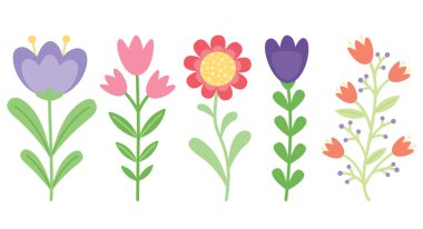 Beyaz üzerine izole edilmiş sevimli dekoratif çiçekler. Halk stilinde renkli bahar bitkileri.