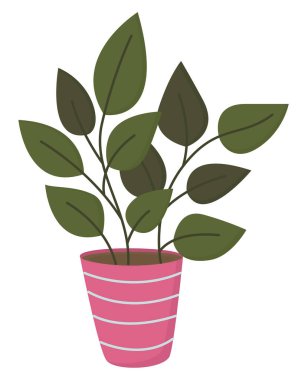 Esrardaki yeşil bitki beyaz arka planda izole edilmiş. Ev dekorunun tasviri