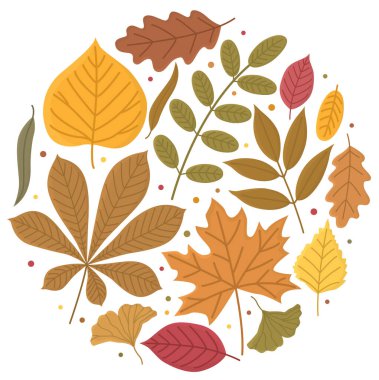 Renkli sonbahar yapraklı yuvarlak kompozisyon. Sonbahar çizimi beyaz arkaplanda izole edildi