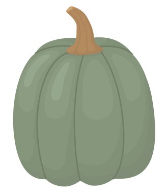 Beyaz arka planda yeşil kabak izole edilmiş. Şükran Günü için sonbahar sebzesi