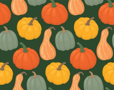 Parlak balkabaklarıyla kusursuz bir arka plan. Renkli sebzelerle sonbahar deseni