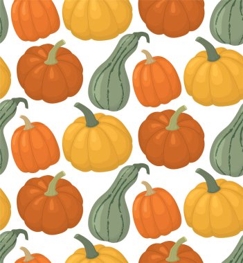 Renkli olgun balkabaklarıyla kusursuz bir arka plan. Sonbahar sebzeleriyle Şükran Günü şablonu