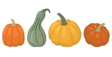 Beyaz arka planda izole edilmiş sonbahar balkabakları seti. Sevimli renkli sebzeler.