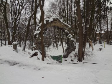 Kyiv. aşırı gelişmiş malikane arka planı