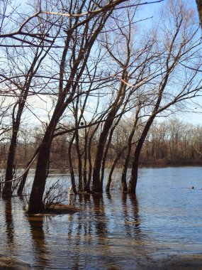                        Kyiv. Baharın başında. Rusanovka 'yı sel bastı                 
