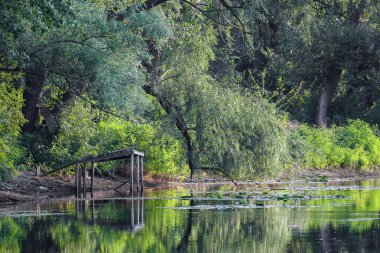 2024 gölündeki ördekler