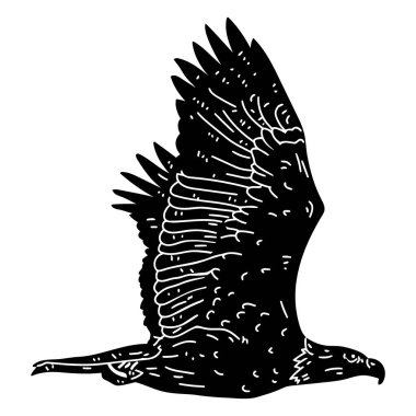 kartal başı, vektör illüstrasyonu
