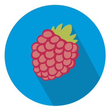 ahududu düz vektör simgesi