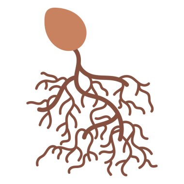 Kökleri izole edilmiş ikona sahip bitki