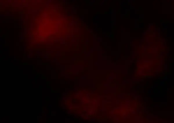 Червоний Текстурований Художній Фон Дизайн Шпалер — стокове фото