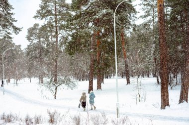 İnsanlar kış ormanlarında yürüyor, kar yağıyor.