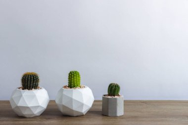 Tencerelerde çeşitli kaktüs bitkileri. Bahçedeki çocuk kaktüsü masasında farklı bir saksıda kaktüs var. Markanız ya da logonuz için yer var.