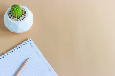 Tencerelerde çeşitli kaktüs bitkileri. Bahçedeki çocuk kaktüsü masasında farklı bir saksıda kaktüs var. Markanız ya da logonuz için yer var.