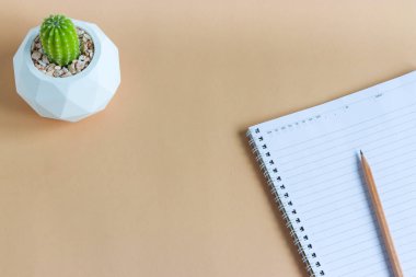 Tencerelerde çeşitli kaktüs bitkileri. Bahçedeki çocuk kaktüsü masasında farklı bir saksıda kaktüs var. Markanız ya da logonuz için yer var.