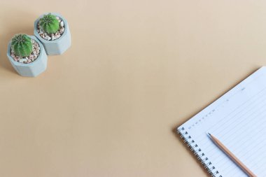 Tencerelerde çeşitli kaktüs bitkileri. Bahçedeki çocuk kaktüsü masasında farklı bir saksıda kaktüs var. Markanız ya da logonuz için yer var.