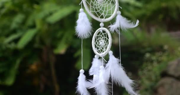 Details White Dreamcatcher Blowing Feathers Background Lush Palm Trees Native — Stock Video