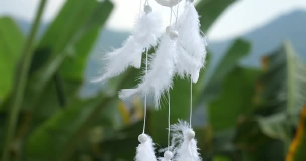 在热带棕榈树的背景下 挂着白色羽毛 线和珠子的捕梦者的线路图 — 图库视频影像