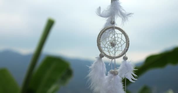 งสเตด มของ Dreamcatcher บเป าขนนกแกว งในลม ประว ศาสตร โบฮ เคร — วีดีโอสต็อก