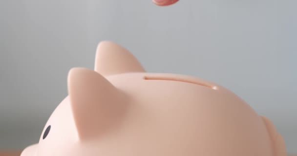 Hand Put Coin Piggy Bank Money Business Investment Concept — Stok Video