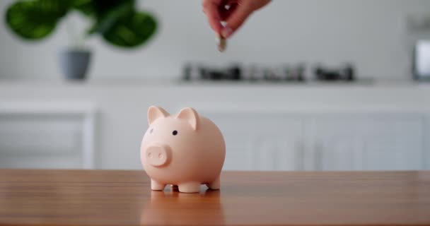 Mans Hand Putting Coins Piggy Bank Pig Shape Blue Background — Stock Video