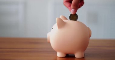 Erkek eli domuz kumbarasına avro parası sokuyor. Yan görünüm