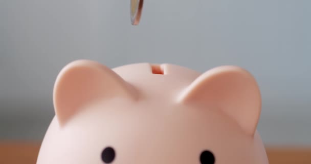 Cropped Close Shot Piggy Bank Concept Collect Cash Womans Hand — Vídeo de Stock