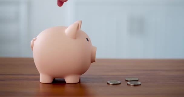 Cropped Close Shot Piggy Bank Concept Collect Money Womans Hand — Stock video