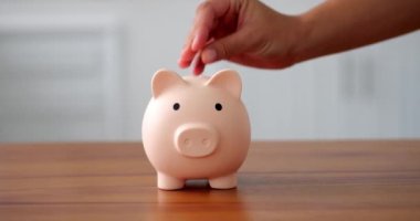 save money for vacation. A piglet is standing on a wooden table and an unrecognizable hand is saving money by throwing money into a piggy bank. View from the side
