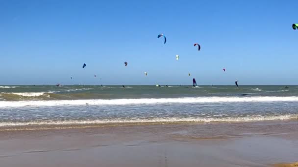 夏日阳光明媚的时候 在海滩上 在海上的风筝冲浪者们慢动作中的低角度视图 — 图库视频影像