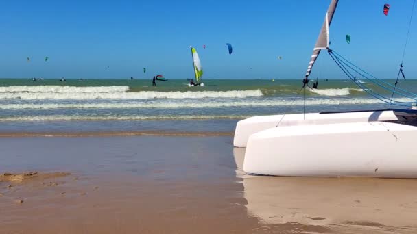 Żeglarz Odpoczywający Plaży Słoneczny Letni Dzień Surferami Żaglówkami Tle Morzu — Wideo stockowe