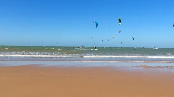 Lågvinkelutsikt Från Stranden Vid Kitesurfare Till Havs Solig Sommardag — Stockvideo