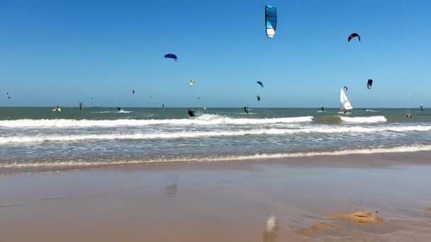 Niski Kąt Widok Plaży Kitesurferów Morzu Słoneczny Letni Dzień — Wideo stockowe