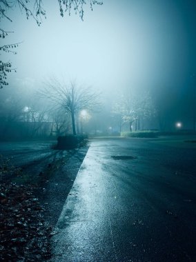 Sessiz bir cadde sisle kaplı, loş sokak lambalarıyla aydınlatılmış, gizemli ve sakin bir gece atmosferi yaratıyor..