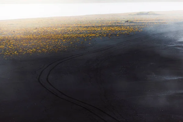 Черный Вулканический Песок Пляжи Исландии Вид Материк Рекой Протекающей Через — стоковое фото