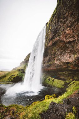 Gljufrafoss, ya da Gljufrabui, şelale, daha ünlü Seljalandsfoss, Güney İzlanda yakınlarındaki dar bir kanyonda saklı küçük bir şelale. Yüksek kalite fotoğraf.