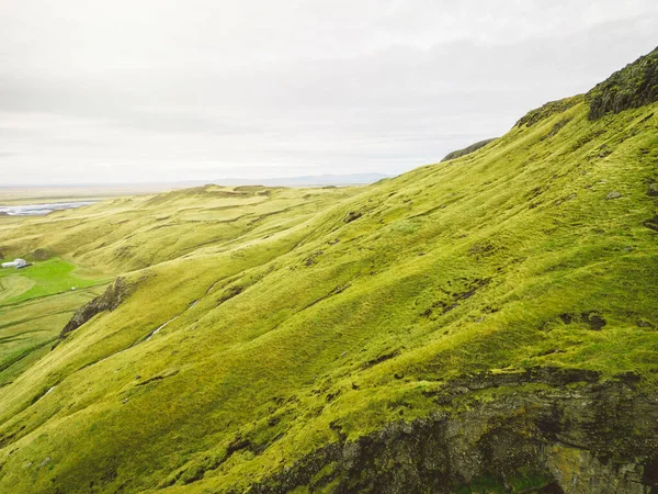 冰岛风景秀丽 绿山繁茂 乡间放羊 下午晚些时候 高地灯火通明 高质量的照片 — 图库照片