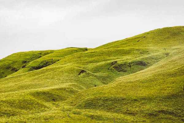 stock image Icelandic landscape with vibrant green hills and countryside grazing sheep, in late afternoon lights in the highlands, Iceland. High quality photo