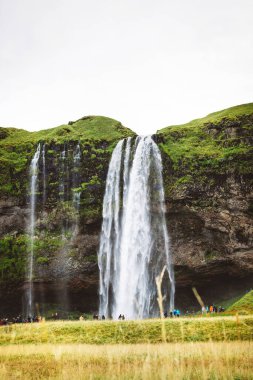 Gljufrafoss, ya da Gljufrabui, şelale, daha ünlü Seljalandsfoss, Güney İzlanda yakınlarındaki dar bir kanyonda saklı küçük bir şelale. Yüksek kalite fotoğraf.