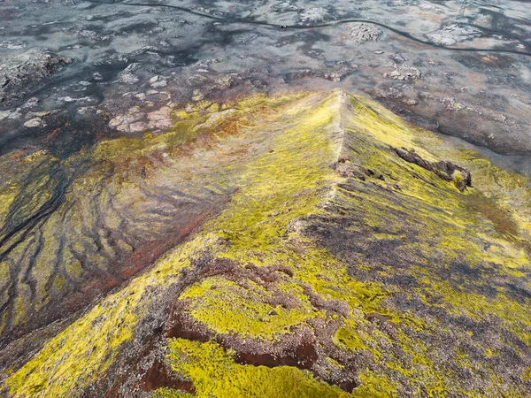 緑豊かな茂みと火山の土地に囲まれ アイスランド本土のどこかにリモート火山の土地 火山岩の形成 小さな山 黒灰色の火山岩 人はいない — ストック写真