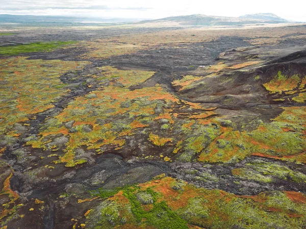 冰岛高地 冰岛大陆的偏远土地 四周环绕着生机勃勃的绿色灌木丛和火山土地 — 图库照片