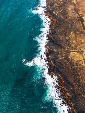 Atlantik martinileri İzlanda 'da okyanus kıyısındaki kayalıklarda yuva yapıyor. Sonbahar, 2022. Yüksek kalite fotoğraf