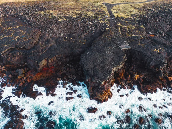 Ατλαντικά Πουφίν Φωλιάζουν Στην Ισλανδία Στα Βράχια Δίπλα Στον Ωκεανό — Φωτογραφία Αρχείου
