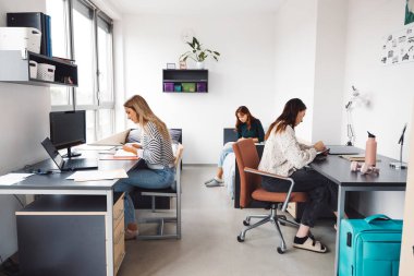 Üç oda arkadaşı, üniversite öğrencisi, genç beyaz kadınlar, odalarında birlikte vakit geçiriyorlar, çalışıyorlar, konuşuyorlar, eğleniyorlar, gülüyorlar.. 