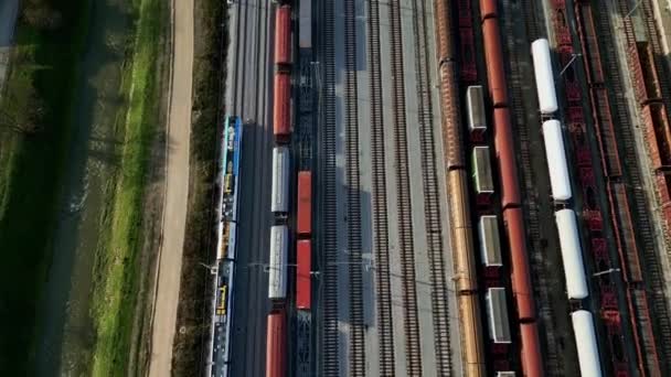 Trenes Carga Cerca Vista Aérea Trenes Mercancías Colores Estación Tren — Vídeo de stock