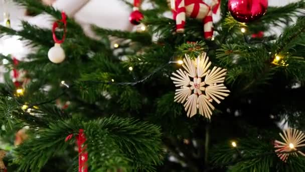 赤い装飾が施されたクリスマスツリーを飾る白人女性のスローモーションビデオ 自然のクリスマスツリー 赤と白の装飾品 お祝いの時間 クリスマスライト — ストック動画