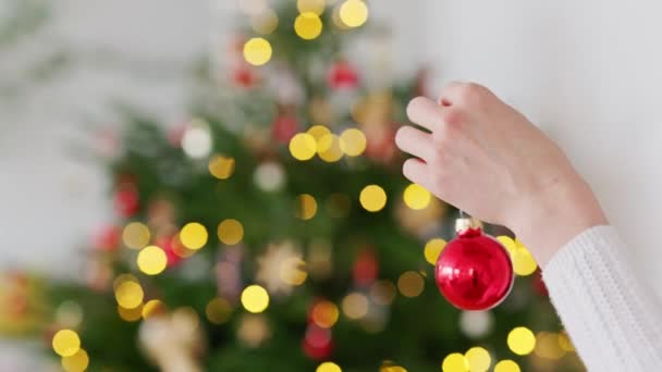 Zpomalené Video Bělošky Zdobící Vánoční Stromek Červenými Ozdobami Přírodní Vánoční — Stock video