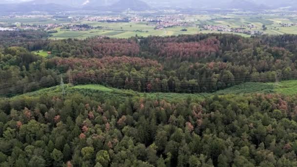 Widok Lotu Ptaka Dron Lecący Przez Wieś Słowenii Okazjonalne Domy — Wideo stockowe